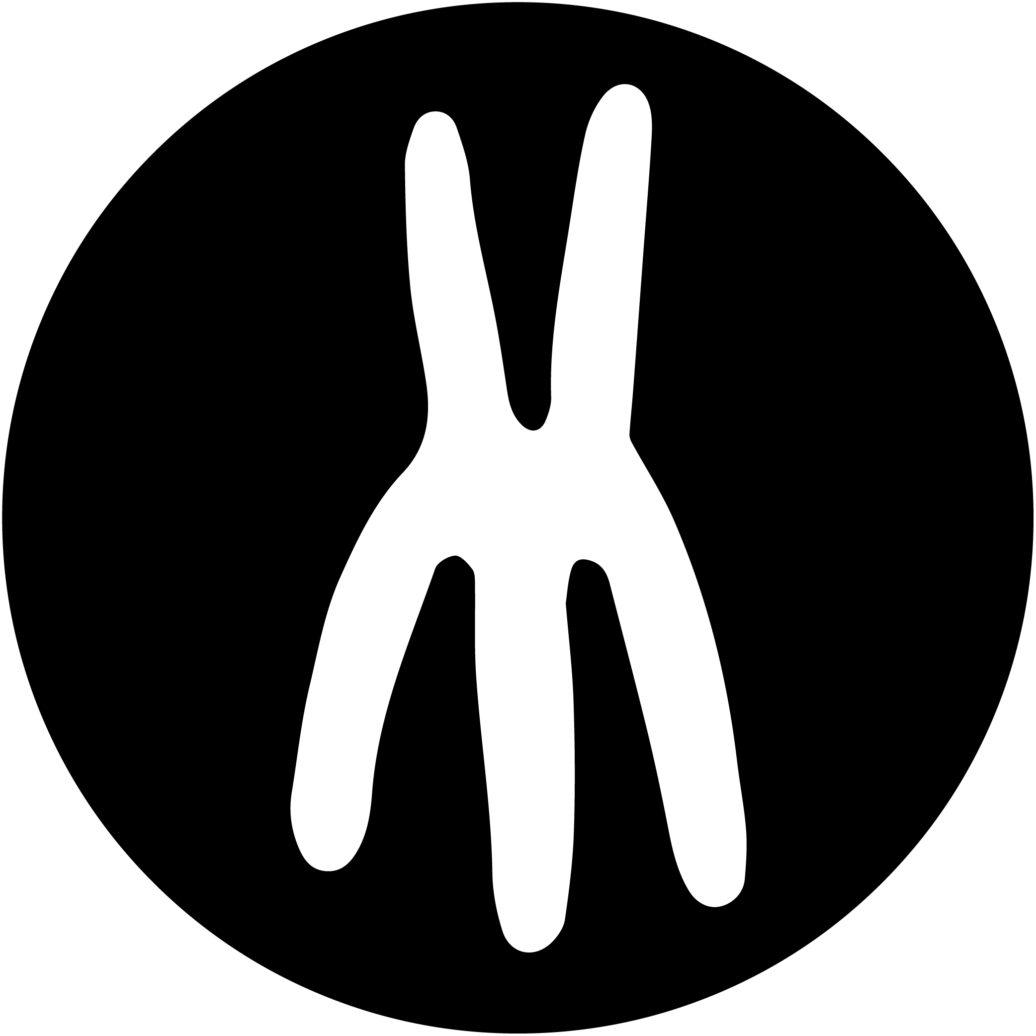y0gastudios logo